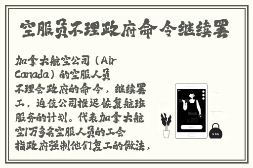 张婉莹暑假作业在线看